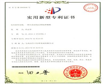 一種具有活化層的鈦陽(yáng)極板實(shí)用新型專(zhuān)利書(shū)